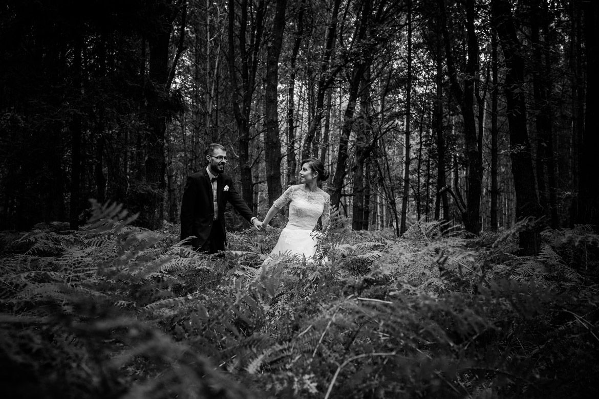 sesja u kotulinskiego