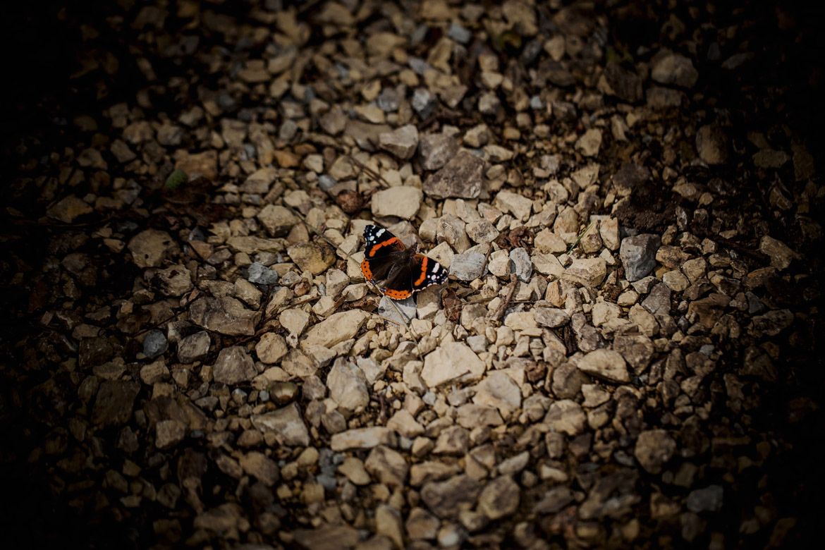 fotograf slubny slask