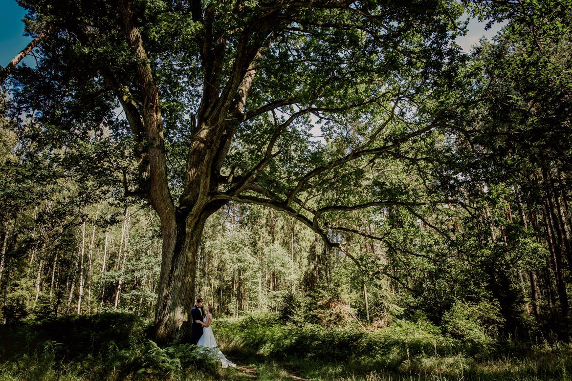 plener ślubny nie krowiarki