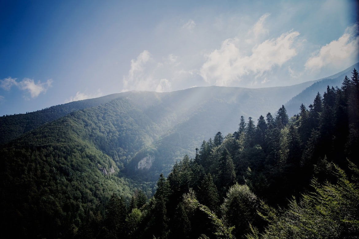 planer slubny w tatrach