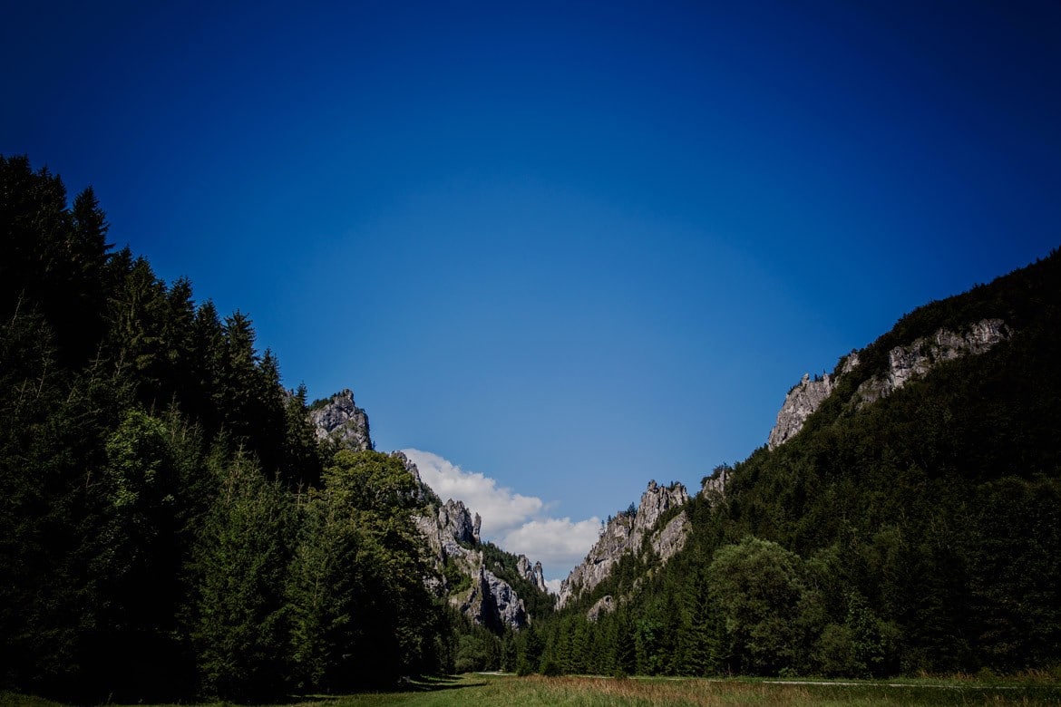 zdjecia slubne w tatrach