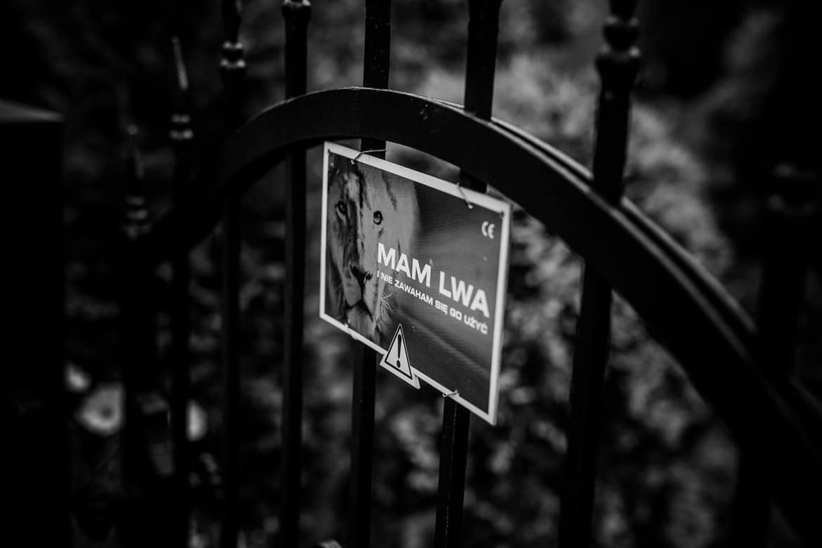 fotografia slubna slask