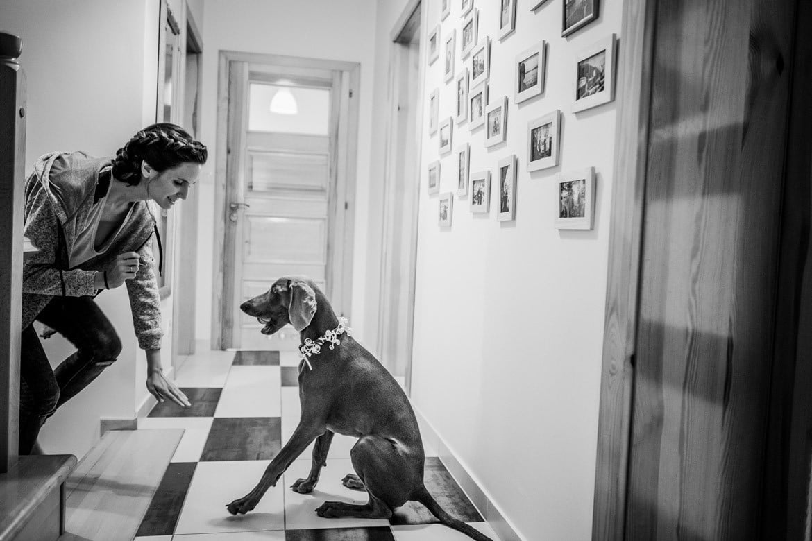 zdjecia slubne jastrzebie