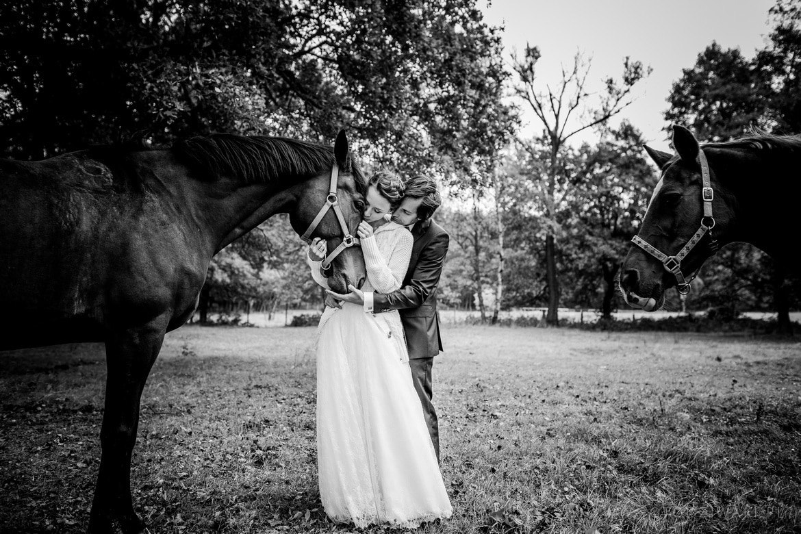 Plener ślubny w stadninie