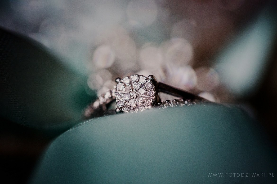 Fotografia ślubna Krzeszowice