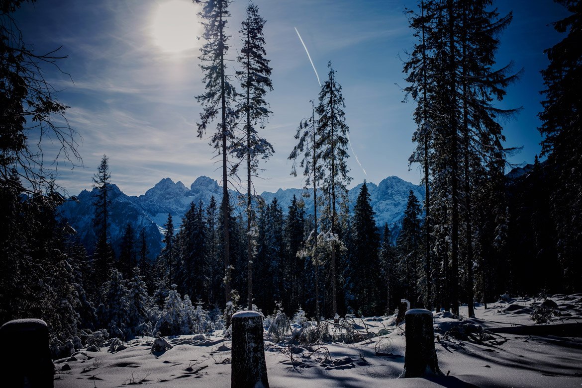 008-zimowa-sesja-narzeczeńska