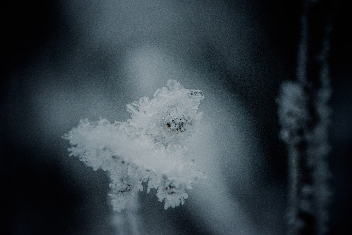 027-sesja-narzeczeńska-w-tatrach