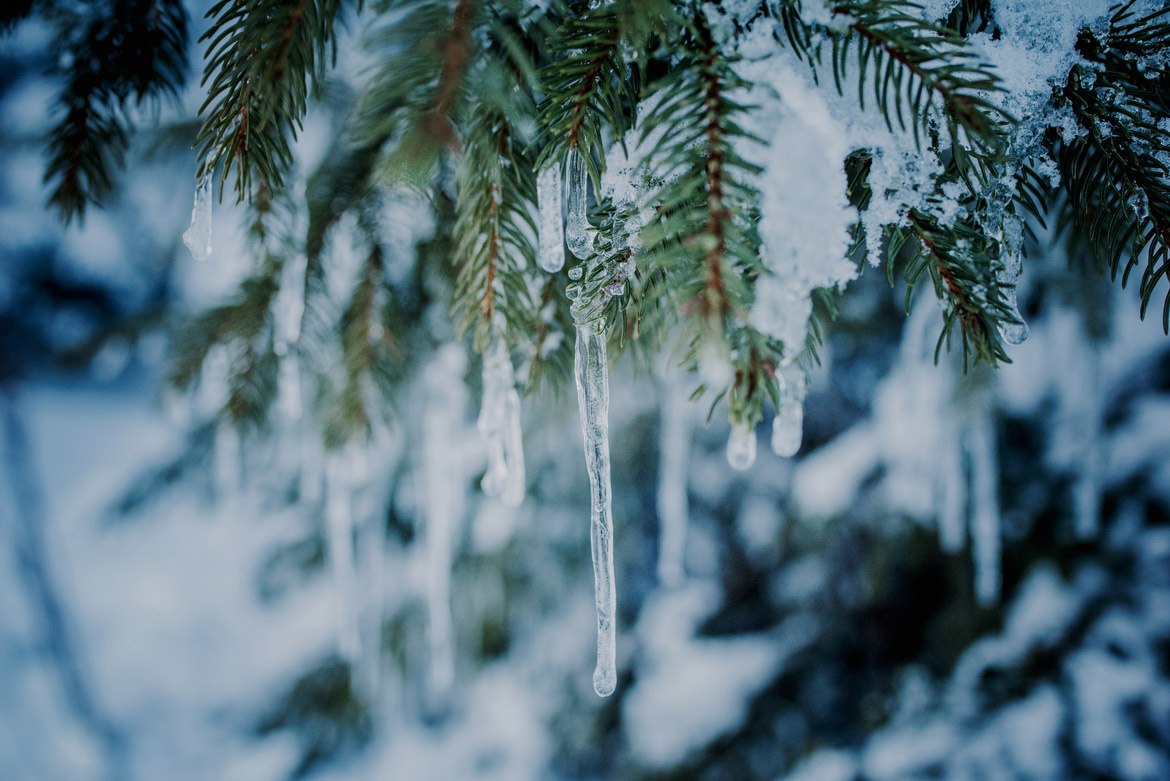 032-zimowa-sesja-narzeczeńska