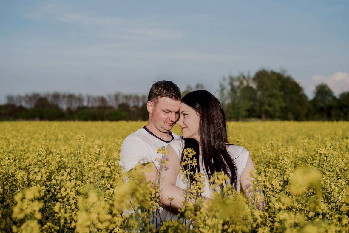 sesja narzeczenska w rzepaku