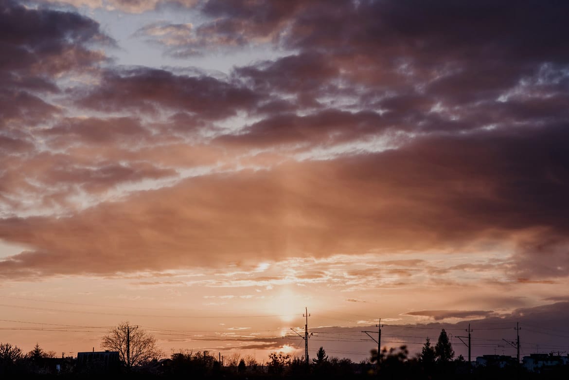 malinowy dwor wesele