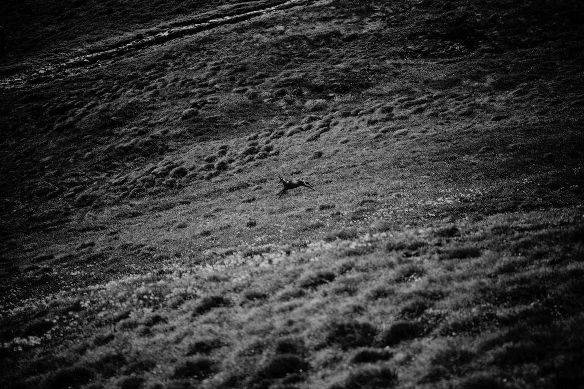 plener slubny w tatrach