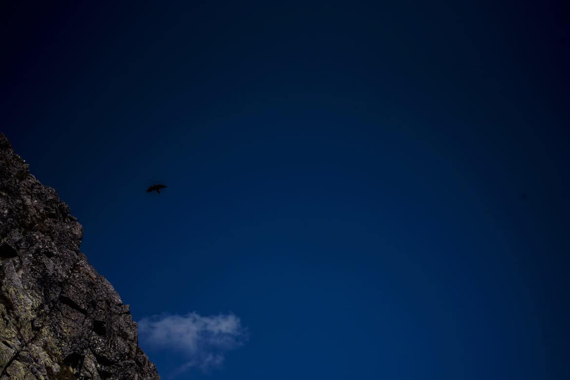 fotograf slubny tatry