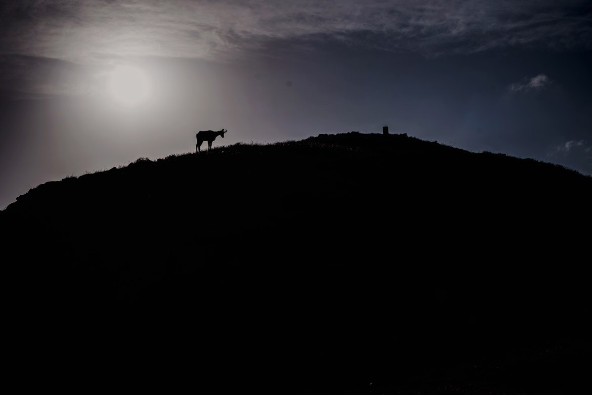fotografia slubna zakopane