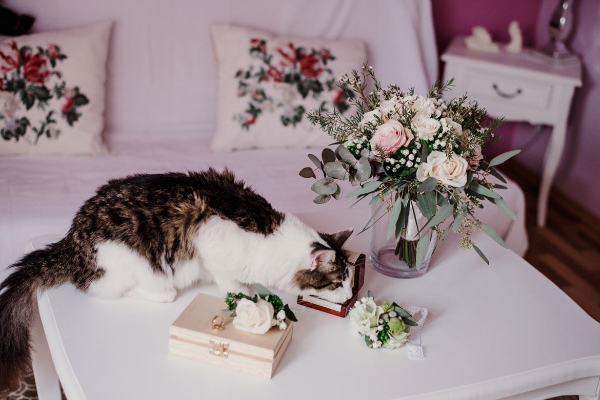 fotografia slubna bielsko