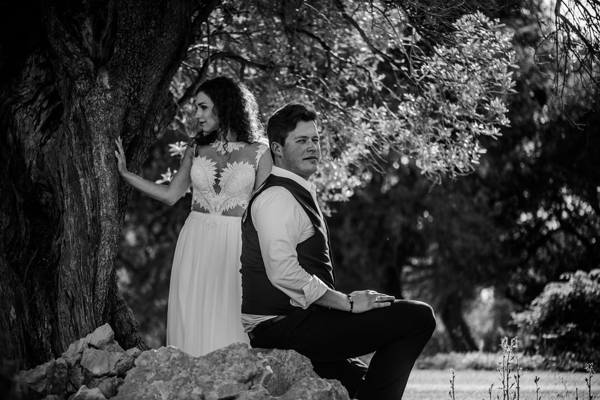 sesja slubna w gaju oliwnym