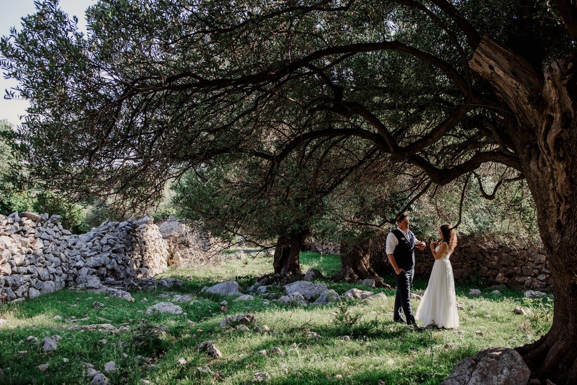 sesja slubna w gaju oliwnym