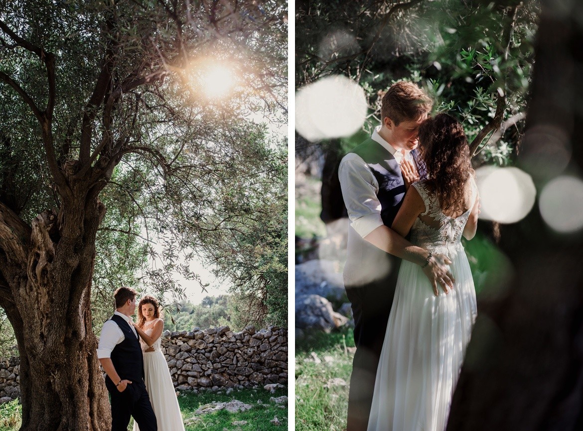 sesja slubna w gaju oliwnym