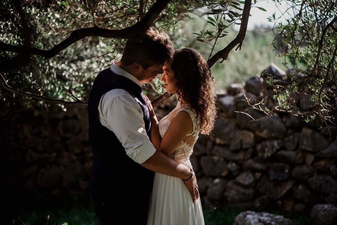 sesja slubna w gaju oliwnym