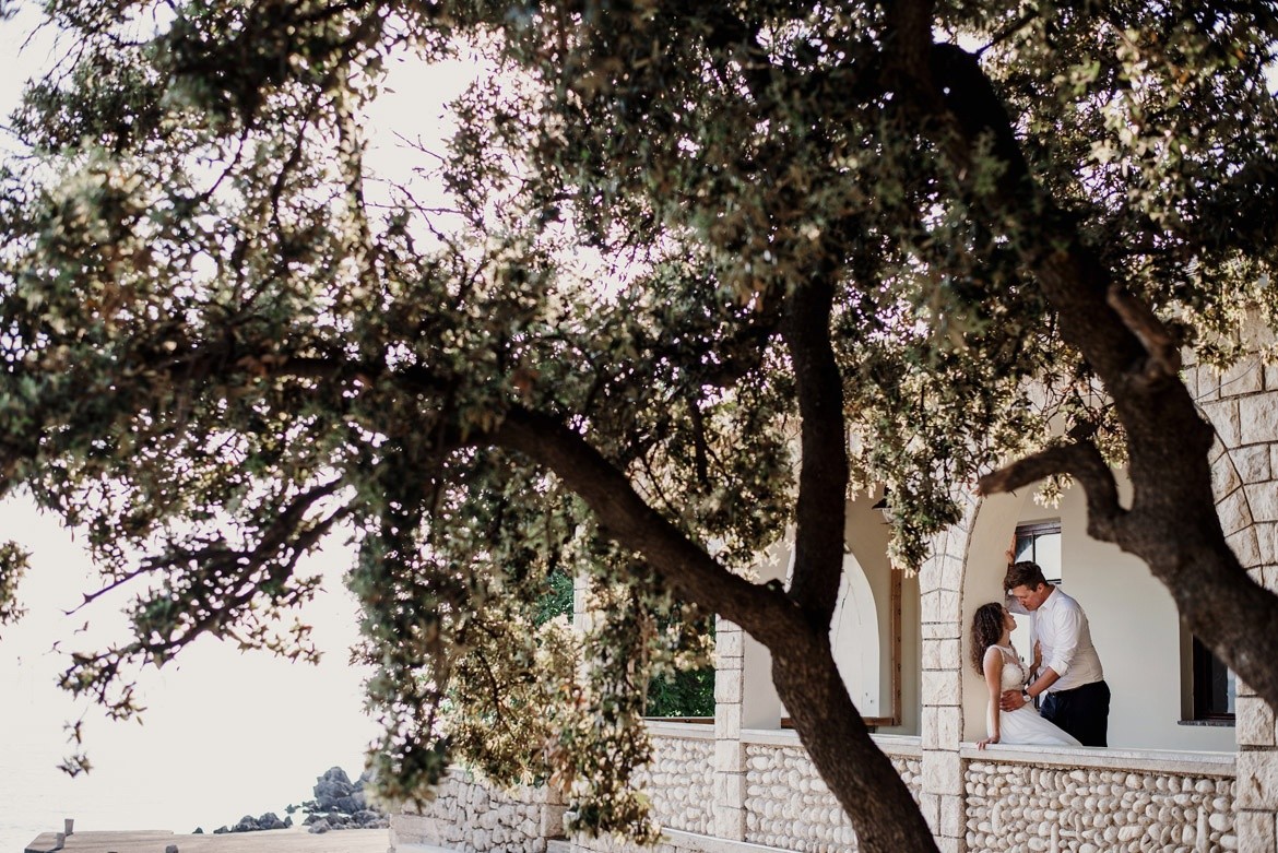 sesja slubna w gaju oliwnym