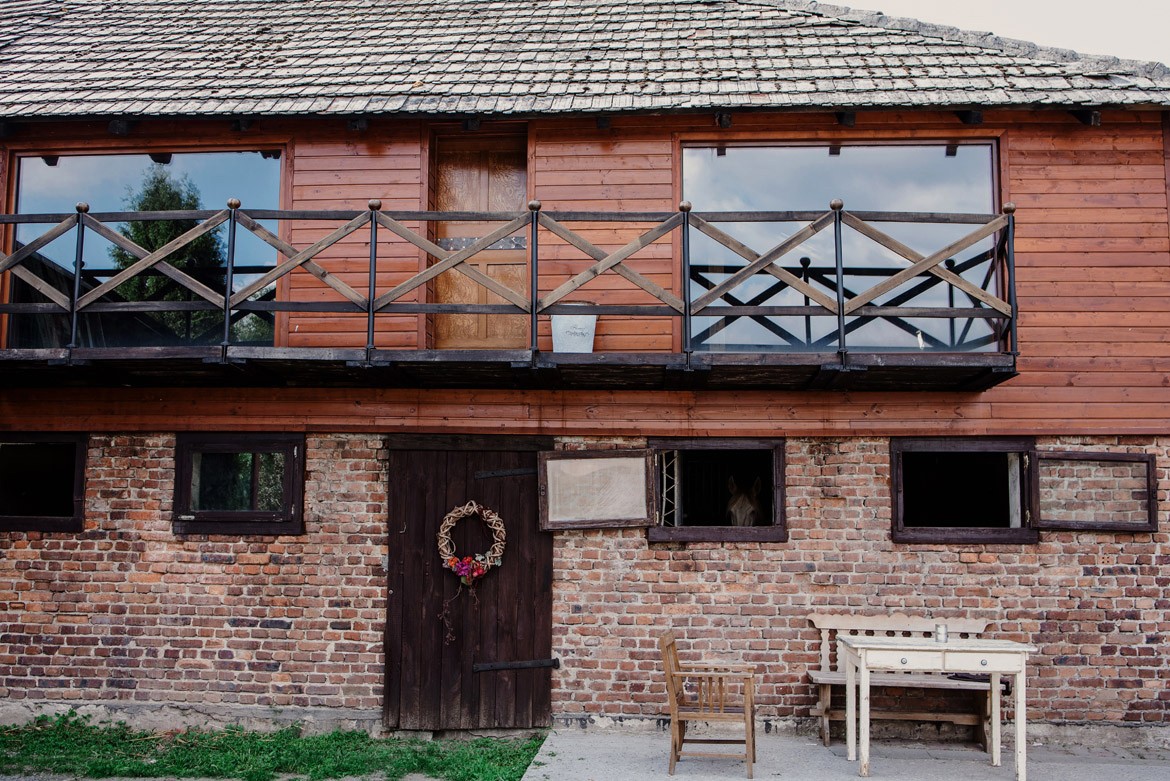 plener ślubny z końmi