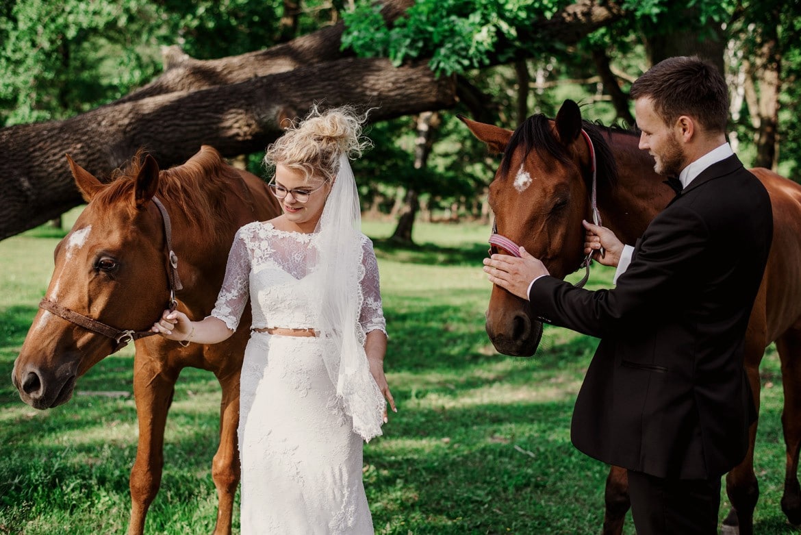 plener ślubny z końmi