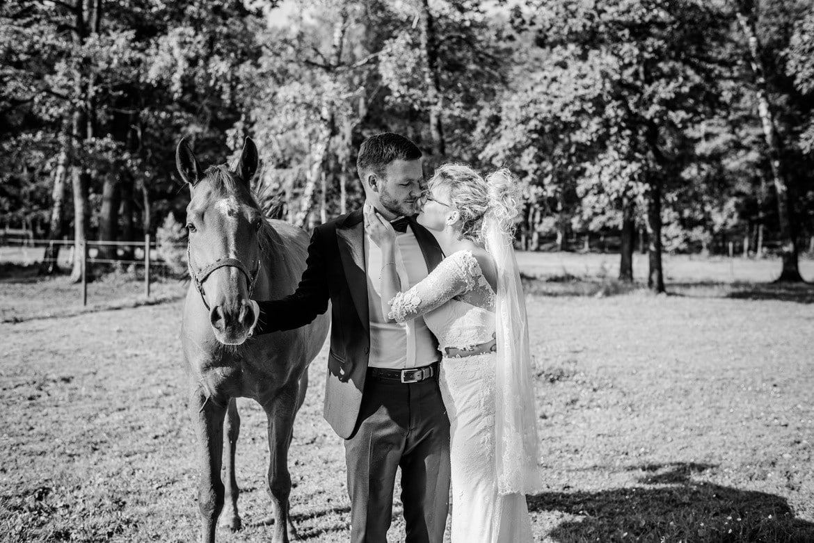 plener ślubny z końmi