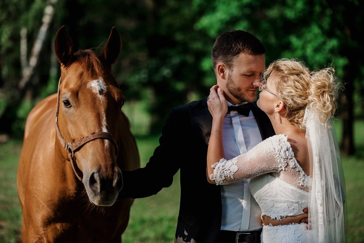 sesja ślubna w stadninie