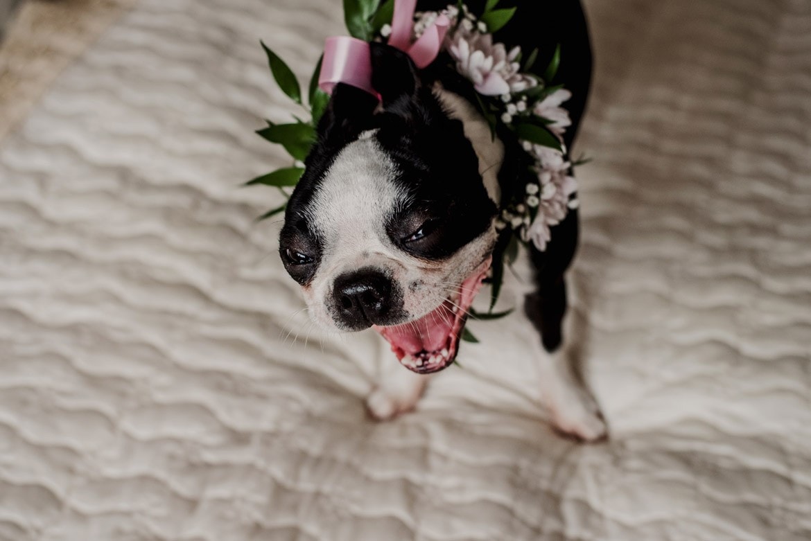 fotografia slubna wielun