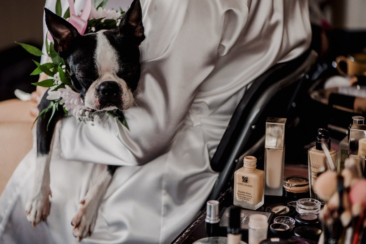 fotografia slubna wielun