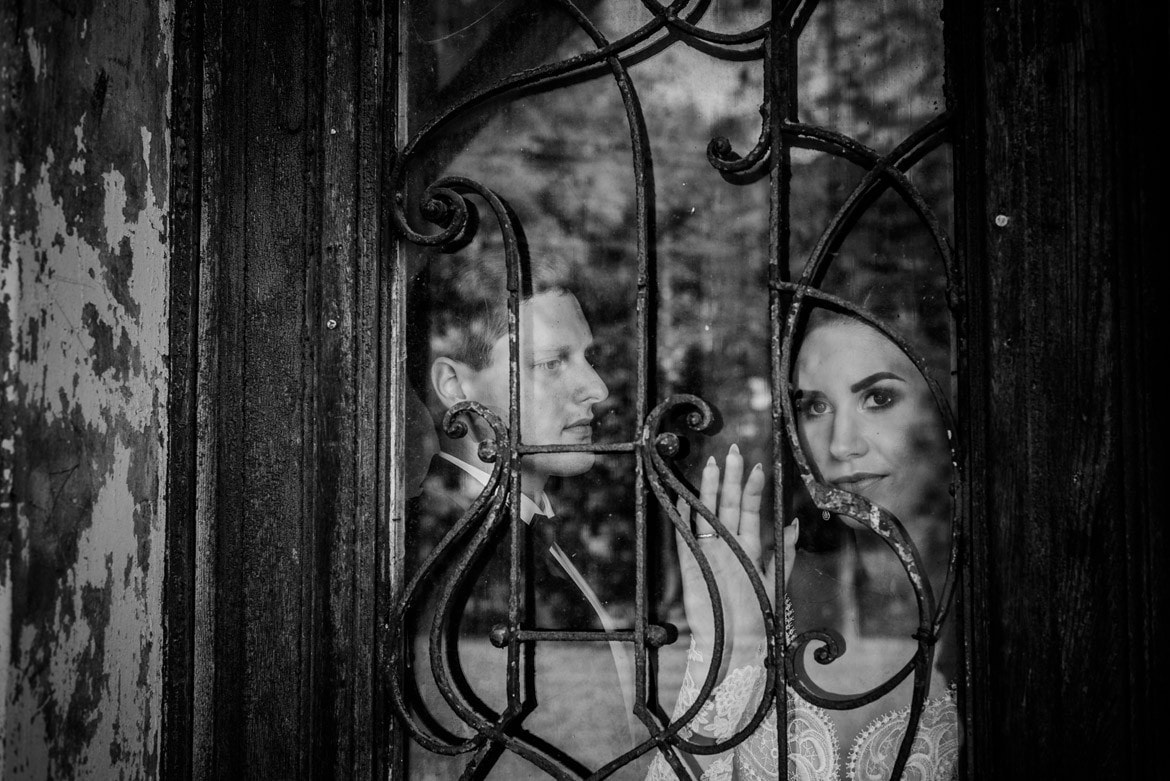 plener slubny w krowiarkach