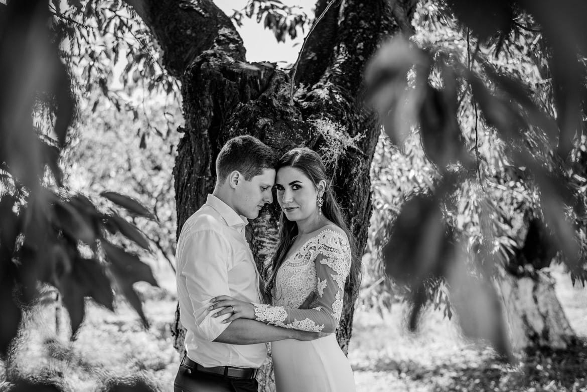 plener slubny w krowiarkach