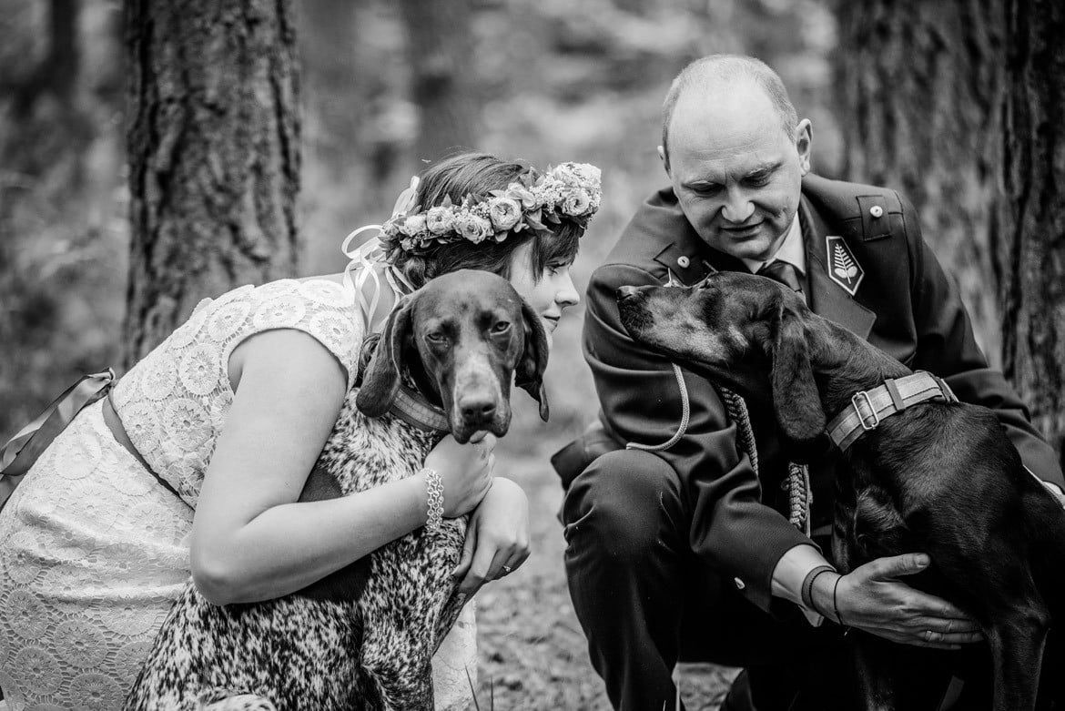 plener ślubny z psami
