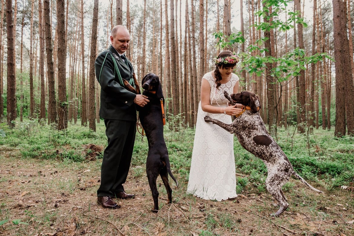 plener ślubny z psami
