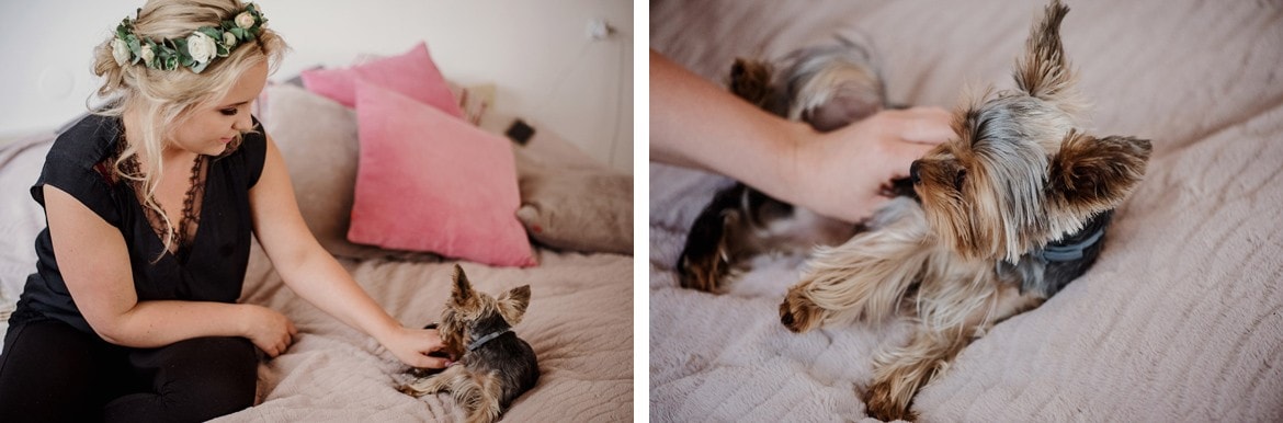 fotografia ślubna sosnowiec