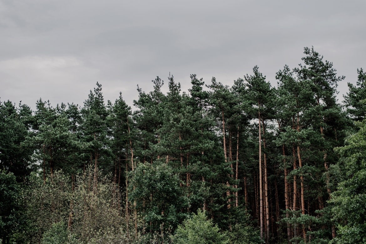 fotograf na slub klucze