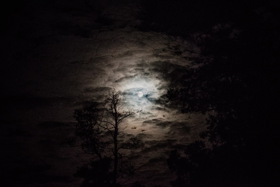 fotograf wesele slask