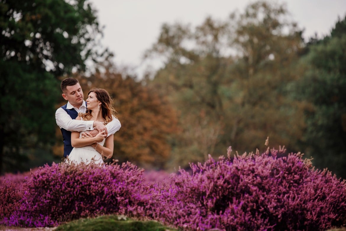 sesja slubna w amsterdamie