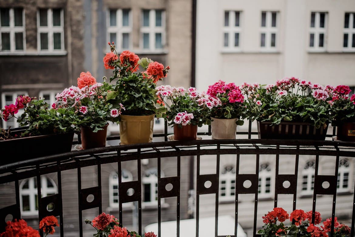 fotograf ślubny katowice