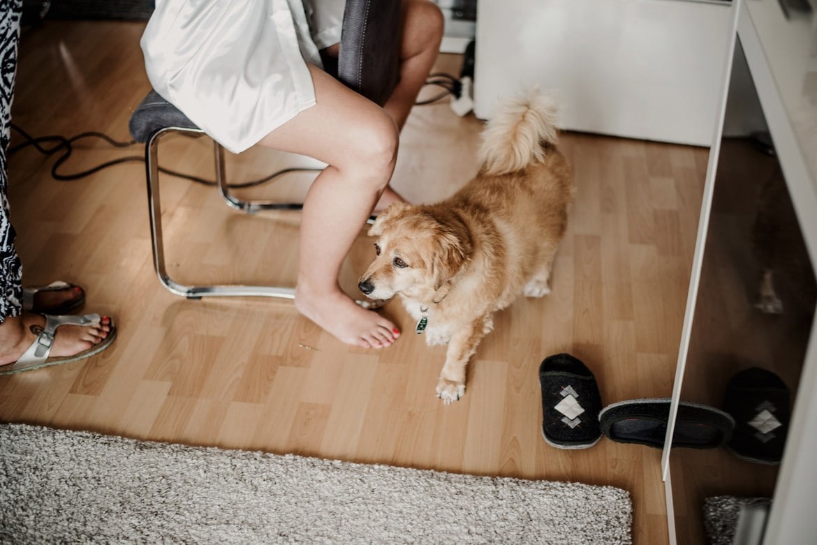 wedding photography dortmund