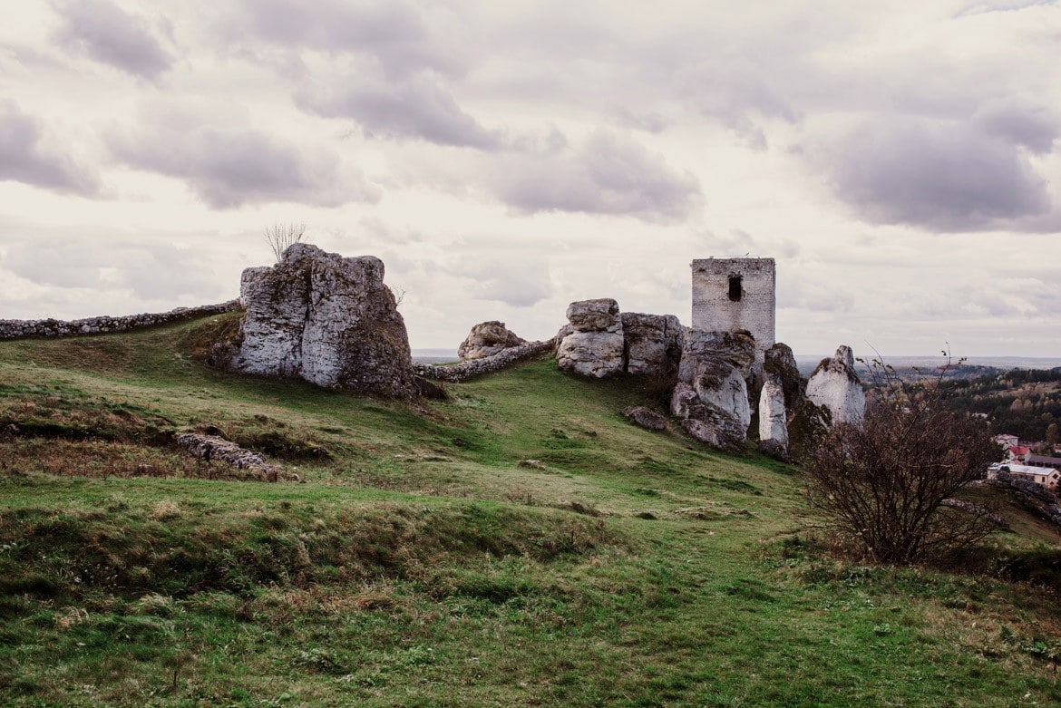sesja ślubna w listopadzie