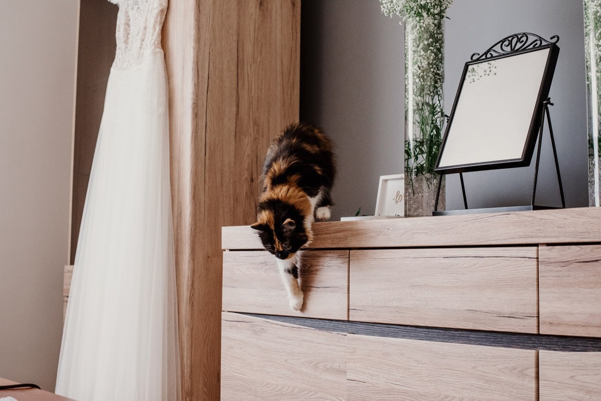 fotograf na ślub śląsk