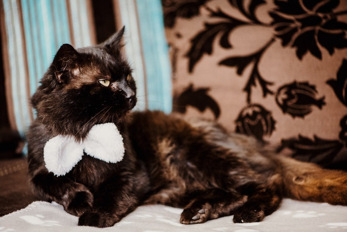 zdjecia slubne kielce