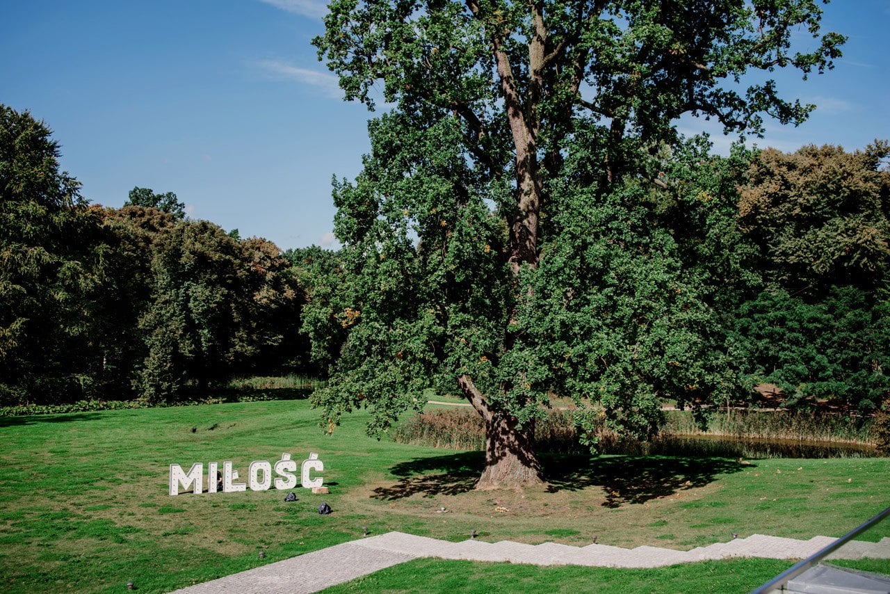 wesele w palacu hanza