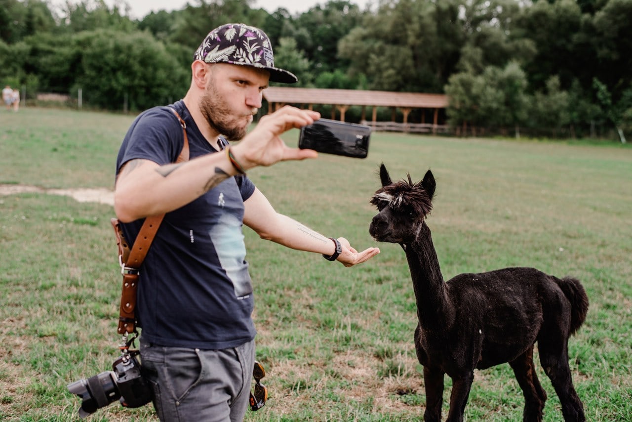 zdjecia weselne slask