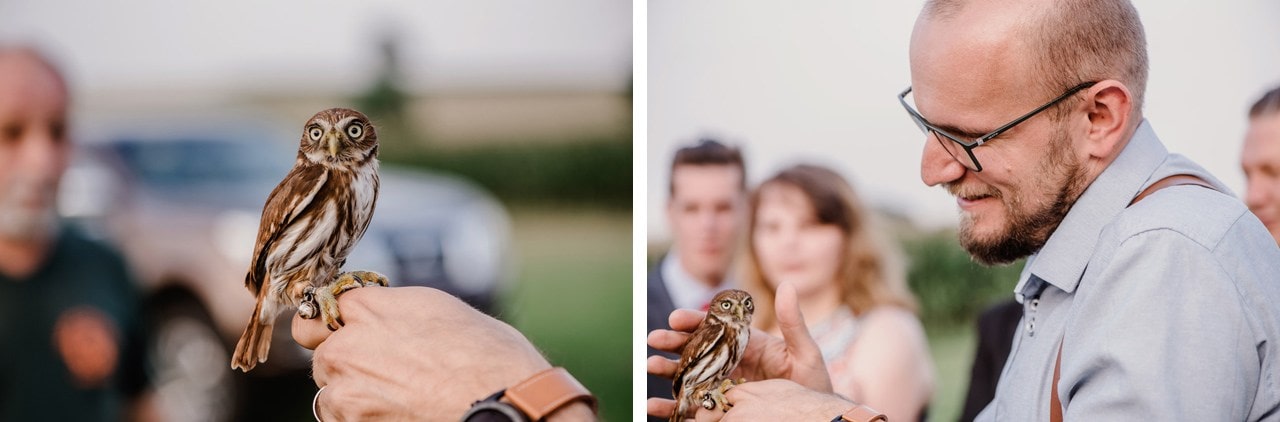 zdjecia weselne slask