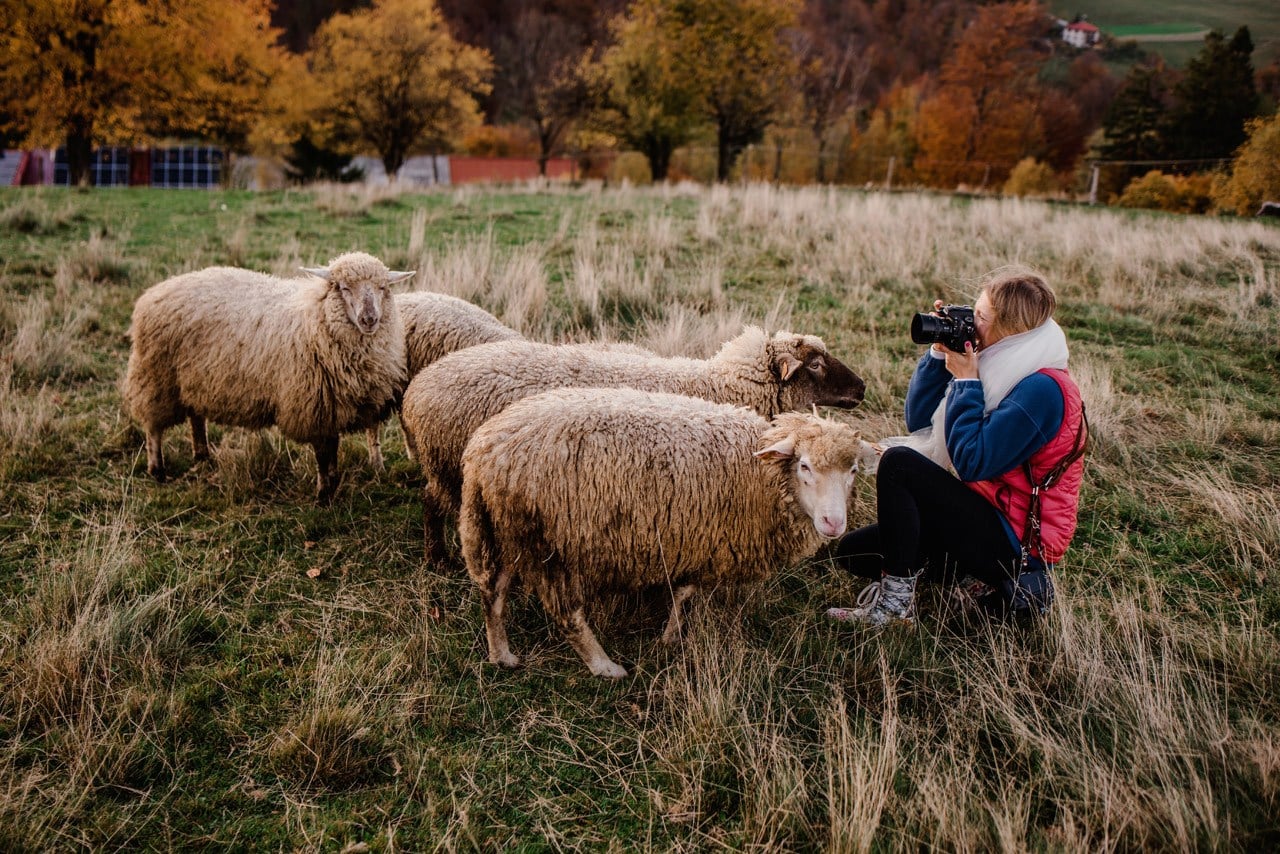zdjecia weselne slask