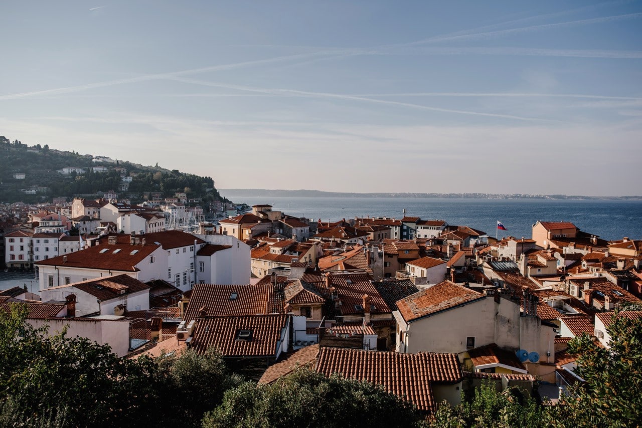 sesja slubna slowenia