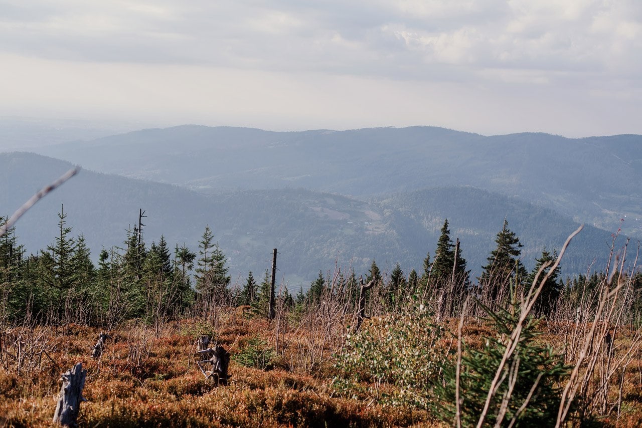 plener slubny w szczyrku