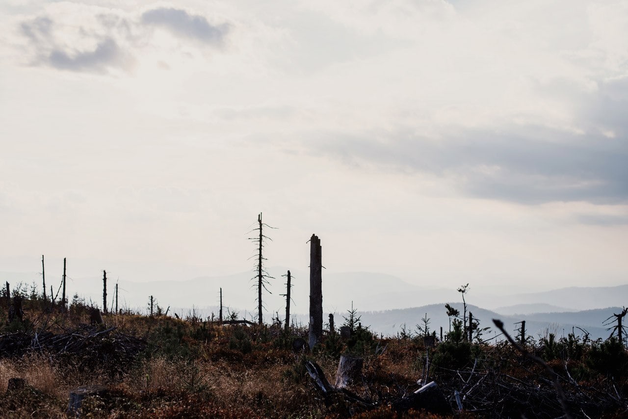 plener slubny w szczyrku