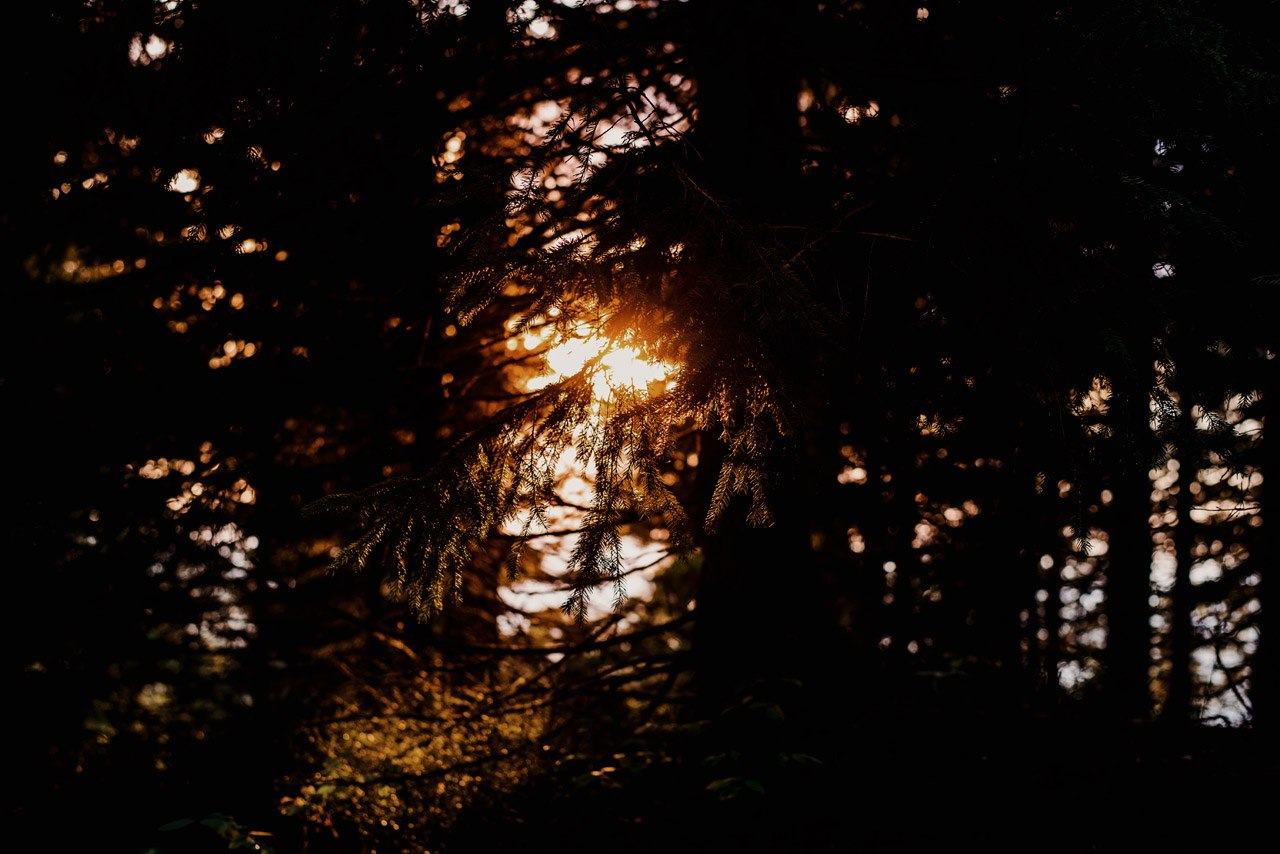 plener slubny w beskidach